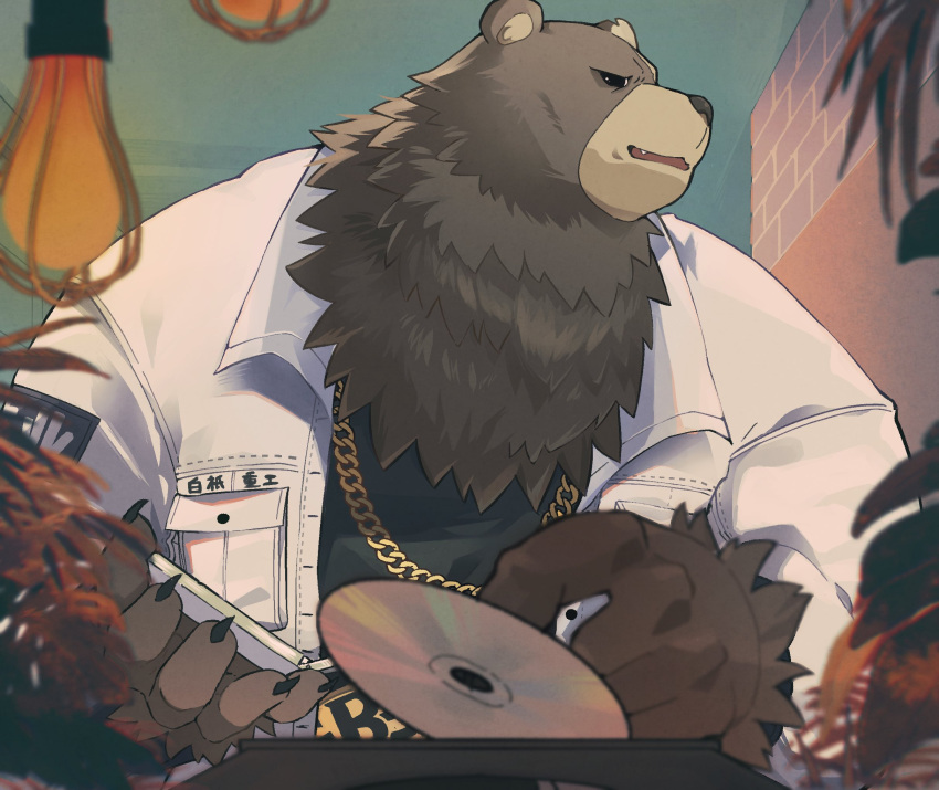 2024 anthro bear ben_bigger black_clothing black_shirt black_topwear blurred_foreground brown_body brown_fur cd cd_player chain_necklace chinese_text clawed_fingers clothing detailed_background disc fur hi_res inside jacket jewelry kemono lamp male mammal mihoyo necklace overweight overweight_male plant sawch_cls shirt solo text topwear white_clothing white_jacket white_topwear zenless_zone_zero