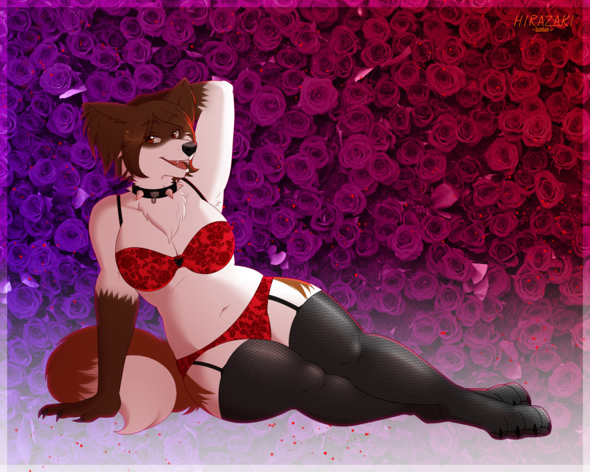 2020 anthro armpit_tuft bra canid canine canis clothing collar domestic_dog female garter_straps glistening glistening_body glistening_skin hi_res koko_(ryukawa) legwear lingerie mammal panties papillon red_bra red_clothing red_underwear ryukawa solo spiked_collar spikes stockings thigh_highs toy_dog underwear