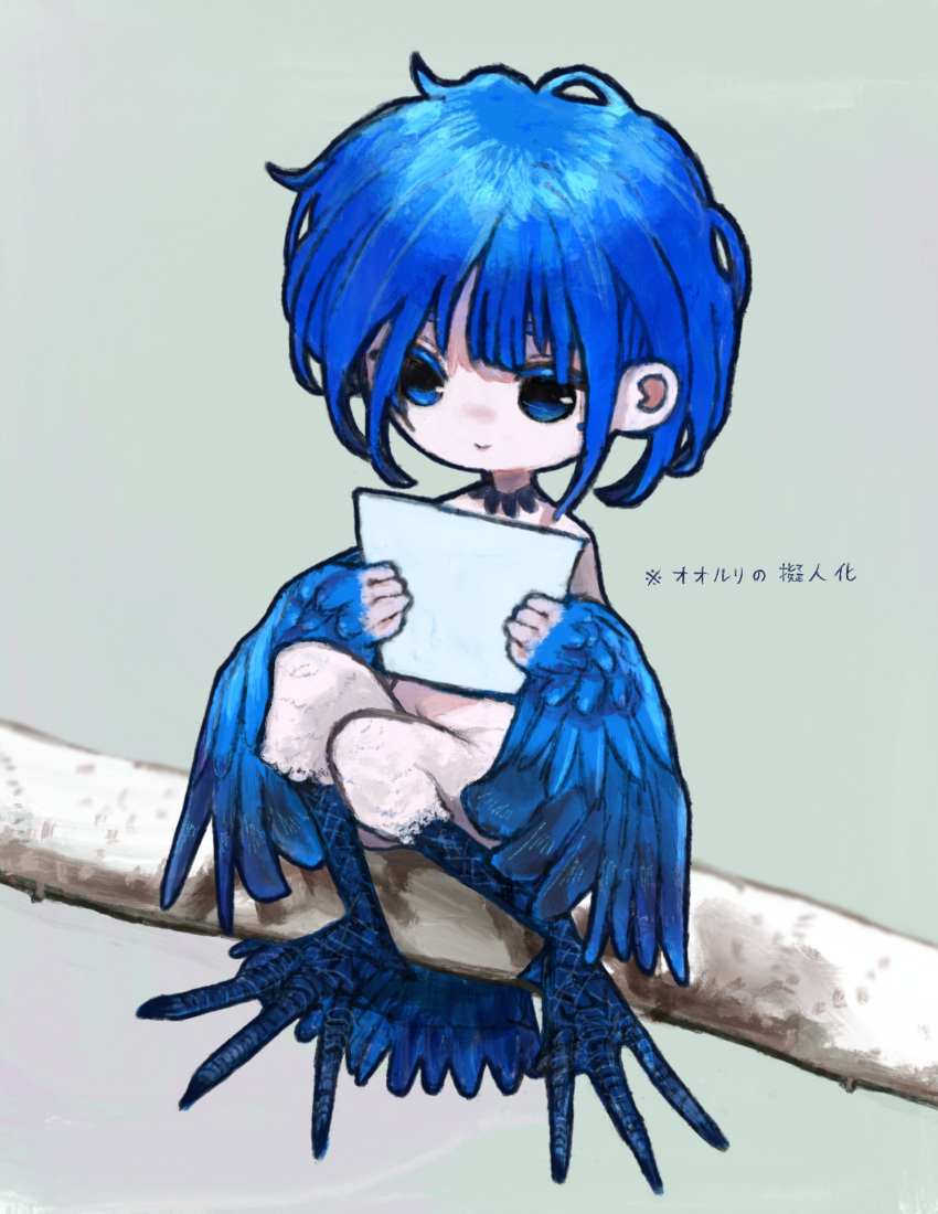 absurdres animal_feet asagimuu bird_legs bird_wings blue_eyes blue_hair blue_wings branch claws colored_eyelashes commentary_request female full_body green_background harpy highres holding holding_paper knees_up monster_girl original paper short_hair simple_background sitting solo translation_request winged_arms wings