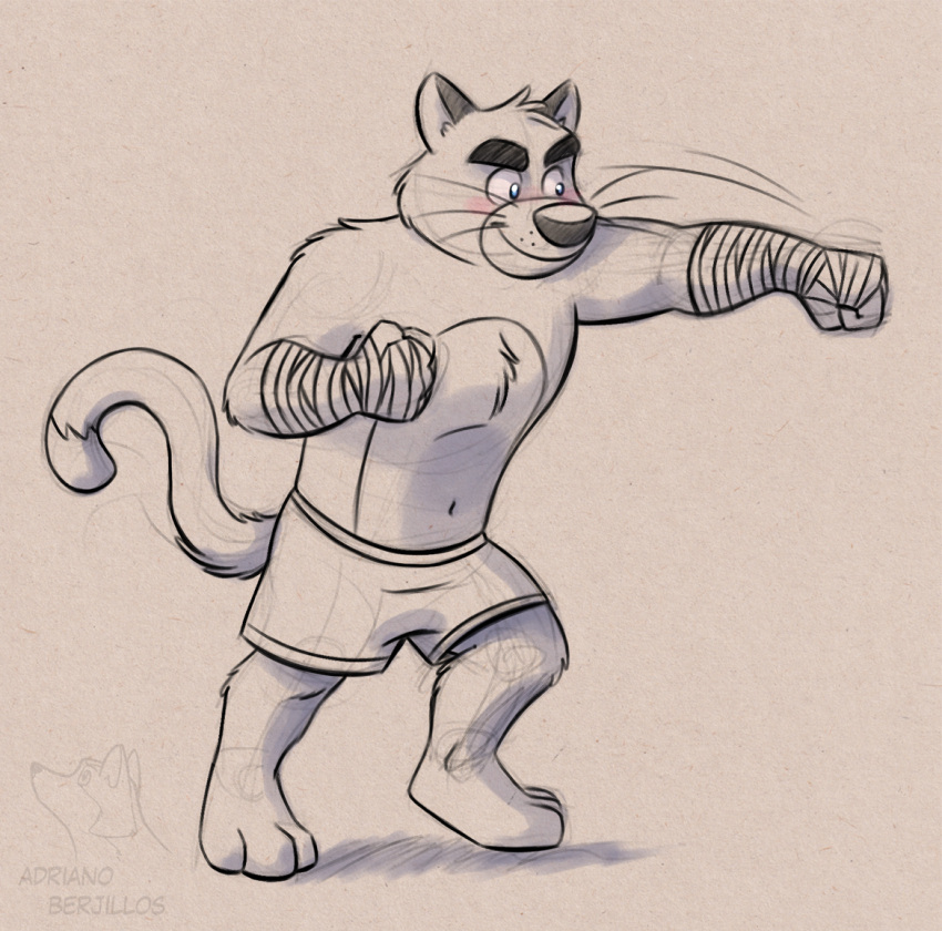 3_toes 4_fingers adriano_berjillos anthro big_nose blue_eyes boxing boxing_tape boxing_trunks brok_the_investigator cowcat_games domestic_cat eyebrows feet felid feline felis fingers graff_filsh male mammal smile solo sport tail thick_eyebrows toes whiskers