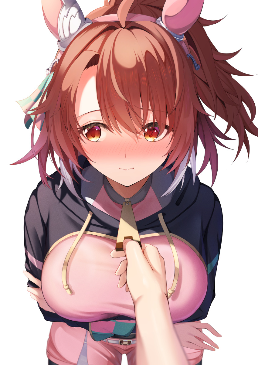 1other a_o_1016 absurdres ahoge animal_ears belt black_jacket blush breasts brown_eyes brown_hair checkered_ribbon closed_mouth colored_tips commentary_request cowboy_shot crossed_arms dantsu_flame_(umamusume) ear_covers ear_ornament ear_ribbon female hair_between_eyes hair_ornament hairband hand_up highres horse_ears horse_girl horse_tail jacket large_breasts looking_at_viewer medium_hair multicolored_hair pantyhose pantyhose_under_shorts pink_hairband pink_shirt pink_shorts pov pov_hands shirt shorts sidelocks simple_background smile solo_focus standing tail tied_shirt two-tone_hair two_side_up umamusume white_background white_belt white_hair