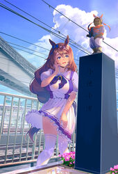  animal_ears blue_eyes blue_sky blush bow bowtie braid breasts bridge brown_hair cloud commentary_request day feet_out_of_frame female flower fountain frilled_skirt frills hair_between_eyes highres horse_ears horse_girl horse_tail horseshoe_ornament large_breasts long_hair open_mouth outdoors over-kneehighs pink_flower pleated_skirt puffy_short_sleeves puffy_sleeves purple_bow purple_bowtie purple_shirt railing reihou19 school_uniform shirt short_sleeves skirt sky solo standing summer_uniform super_creek_(umamusume) tail thighhighs tracen_school_uniform twitter_username umamusume very_long_hair water white_skirt white_thighhighs 