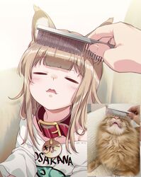  40hara =_= animal animal_collar animal_ear_fluff animal_ears aqua_eyes blonde_hair blunt_bangs brushing_another&#039;s_hair brushing_hair cat_ears cat_girl closed_eyes clothes_writing collar comb commentary_request fangs feline female highres holding holding_comb kinako_(40hara) long_hair open_mouth orange_cat original photo-referenced photo_inset print_shirt red_collar reference_inset shirt solo_focus 