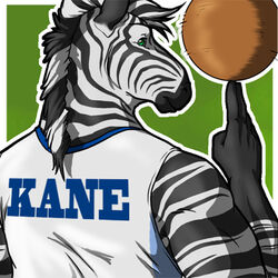  1:1 2011 anthro balancing ball basketball basketball_(ball) basketball_uniform biped black_body black_fur black_mane black_stripes border bust_portrait clothed clothing digital_media_(artwork) eclipticafusion equid equine fur green_background green_eyes jersey looking_at_viewer looking_back low_res male mammal mane multicolored_body multicolored_fur multicolored_mane outside_border portrait print_clothing print_jersey print_topwear rear_view shirt simple_background snout solo sportswear striped_body striped_fur stripes text text_on_clothing text_on_jersey text_on_shirt text_on_topwear text_print topwear two_tone_body two_tone_fur two_tone_mane uniform white_body white_border white_clothing white_fur white_mane white_topwear zebra 