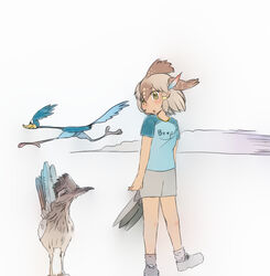  2019 accessory adolescent ambiguous_gender animal_humanoid avian avian_feet avian_humanoid beak biped bird bird_humanoid blue_body blue_clothing blue_feathers blue_shirt blue_tail blue_topwear blue_wings bottomwear brown_body brown_eyes brown_feathers brown_hair brown_highlights brown_wings clothed clothing crossover cuculiform cuculiform_humanoid digital_drawing_(artwork) digital_media_(artwork) duo_focus dust feather_tuft feathered_wings feathers female feral folded_wings footwear full-length_portrait fully_clothed greater_roadrunner greater_roadrunner_(kemono_friends) grey_beak grey_body grey_bottomwear grey_clothing grey_feathers grey_hair grey_shorts grey_tail grey_wings group hair hair_accessory hair_ring hatching_(art) head_tuft head_wings hi_res highlights_(coloring) humanoid iceeye_ena japanese kemono_friends larger_female larger_humanoid legwear light_body light_skin looking_at_another looking_down looney_tunes multicolored_body multicolored_feathers multicolored_hair new_world_ground_cuckoo open_mouth portrait road_runner_(looney_tunes) roadrunner roadrunner_humanoid running shaded shadow shirt shoes short_hair shorts simple_background size_difference smaller_ambiguous smaller_feral smile socks standing t-shirt tail tail_feathers tan_body tan_skin toony topwear tuft two_tone_body two_tone_feathers two_tone_hair two_tone_tail warner_brothers white_background wings yellow_beak young 