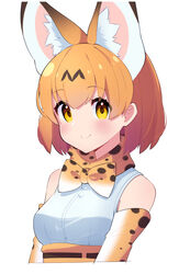  animal_ear_fluff animal_ears blush bow bowtie closed_mouth commentary elbow_gloves female gloves highres kemono_friends looking_at_viewer orange_bow orange_bowtie orange_eyes orange_hair print_bow print_bowtie serval_(kemono_friends) short_hair simple_background sleeveless smile solo takom traditional_bowtie two-tone_bowtie upper_body white_background white_bow white_bowtie 