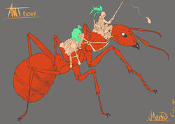  2018 2_toes 6_legs ambiguous_gender ant antennae_(anatomy) arthropod arthropod_abdomen colored concept_art dated digital_drawing_(artwork) digital_media_(artwork) duo feet feral grey_background hair hi_res human hymenopteran insects macro mammal mandibles markoriginals orange_text red_body saddle signature simple_background simple_coloring text toes 