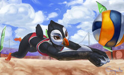  alcid anthro atlantic_puffin avian ball banner beach beach_volleyball beak bird black_body black_feathers brown_eyes claws clothed clothing cloud competition conqista court crowd feathers female flag group jumping lari looking_at_object open_beak open_mouth outside pearl_(boolean) pole puffin sand seaside sky solo sport sport_swimsuit volleyball volleyball_(ball) white_body white_feathers 