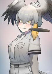  bird_tail black_hair blush breast_pocket breasts closed_mouth collared_shirt feather_in_mouth female green_eyes grey_hair grey_necktie grey_shirt hair_between_eyes head_wings highres john_(a2556349) kemono_friends kemono_friends_3 layered_sleeves long_hair long_sleeves looking_at_viewer multicolored_hair necktie pocket shirt shoebill_(kemono_friends) short_over_long_sleeves short_sleeves shorts sidelocks solo tail wings 