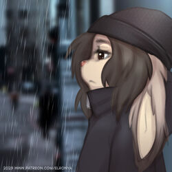  1:1 anthro bus clothing commercial_vehicle elronya fan_character female freckles hair hat headgear headwear lagomorph leporid long_hair mammal outside public_transportation rabbit raining ronya solo street suvi_(elronya) vehicle vehicle_for_hire 