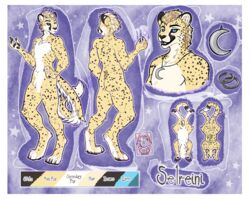  absurd_res anatomy anatomy_reference anthro border cheetah felid feline hi_res male mammal model_sheet reference_image sakary_yoliztli selreini_(character) solo white_border 