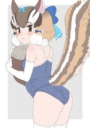  absurdres acorn animal_ears bare_shoulders brown_eyes brown_hair chipmunk_ears chipmunk_girl chipmunk_tail elbow_gloves extra_ears female gloves grey_background highres kemono_friends kemono_friends_v_project kumasyan1998 looking_at_viewer looking_back ribbon scarf short_hair siberian_chipmunk_(kemono_friends) simple_background solo swimsuit tail thighhighs virtual_youtuber 