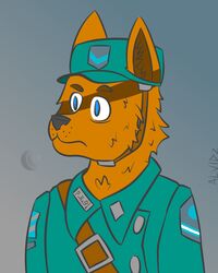  2019 alvidz anthro canid canine clothed clothing digital_media_(artwork) fully_clothed fur male mammal military portrait soldier solo standing three-quarter_portrait uniform warrior 