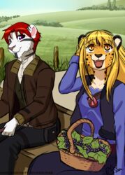  cheetah cosplay felid feline female general_(disambiguation) happy hi_res holo_(spice_and_wolf) kraft_lawrence landscape male mammal mihari neo_(neocloud88h) pantherine rika_(artist) spice_and_wolf tiger 