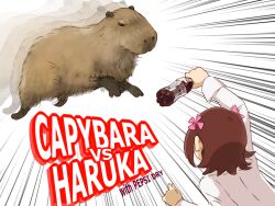  afterimage amami_haruka animal battle bottle brown_hair capybara commentary_request dani-ikapi emphasis_lines female hair_ribbon idolmaster idolmaster_(classic) pepsi ribbon short_hair vs 