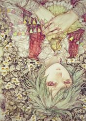  ascot bad_id bad_pixiv_id daffodil flower from_above green_hair hands_on_own_chest highres kazami_yuuka light_bulb lying on_back red_eyes short_hair solo touhou upside-down yogisya 