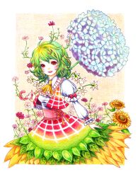  :d adapted_costume alternate_color ascot blush bow breasts collar collared_shirt colored_pencil_(medium) colorful commentary_request cosmos_(flower) daffodil dress eyebrows eyebrows_hidden_by_hair female flower frilled_ascot frilled_collar frills green_hair hair_flower hair_ornament holding holding_umbrella hydrangea kazami_yuuka leaf lipstick long_sleeves looking_at_viewer makeup medium_breasts multicolored_clothes multicolored_dress multicolored_shirt open_mouth pink_flower puffy_long_sleeves puffy_short_sleeves puffy_sleeves red_bow red_eyes red_lips red_ribbon ribbon shirt short_hair short_sleeves simple_background skirt skirt_set smile solo sunflower takanashi_minato touhou traditional_media umbrella upper_body vest wavy_hair white_flower yellow_flower 