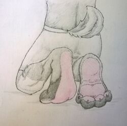  2015 anthro ass bottomwear clothed clothing deer feet foot_focus full_pad hi_res male mammal paws pink_soles ra&#039;deer raised_tail shorts shorts_only tail topless traditional_media_(artwork) wrinkled_feet wrinkles zer0thecrux 