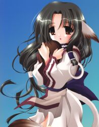  animal_ears eruruu ohno_tetsuya tail utawarerumono 