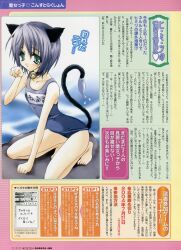  animal_ears nekomimi school_swimsuit swimsuits tail yukiwo 