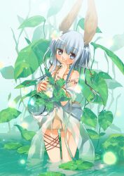  animal_ears bad_id bad_pixiv_id blue_eyes blue_hair blush female gourd highres lily_pad long_hair original rabbit_ears sodapop_(iemaki) solo standing wading water 