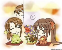  1boy 2girls ? blush_stickers brown_eyes brown_hair carnivorous_plant chibi ikebana imageboard_desourced japanese_clothes kimono long_hair multiple_girls non-web_source peeking_out peeping plant ponytail sakai_chigusa sakai_yuuji seiza shakugan_no_shana shana sitting spoken_question_mark 