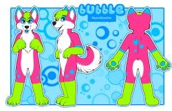  bubble_(character) canid canine canis colorful_theme concept_art domestic_dog fursuit_reference husky mammal neonslushie nordic_sled_dog spitz 