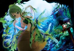  animal bare_shoulders female green_eyes green_hair mermaid monster_girl ocean sea seahorse seaweed underwater 