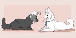  2023 ambiguous_gender berger_blanc_suisse bird_dog black_body black_fur black_nose blue_ribbon canid canine canis cody_(tsukune_minaga) cone_of_shame cross-popping_vein digital_media_(artwork) domestic_dog duo facing_each_other felicia_(tsukune_minaga) female_(lore) feral flat_coated_retriever fluffy fluffy_tail fur herding_dog hi_res hunting_dog lying male_(lore) mammal medical_instrument on_front pastoral_dog quadruped retriever scientific_instrument sigh speech_bubble tail tsukune_minaga white_body white_fur 