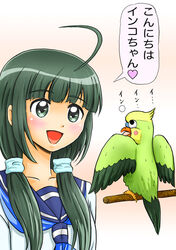  bad_id bad_pixiv_id bird commentary_request crossover female gotou_saori green_eyes green_hair inko kikusaka_kochou long_hair parrot photoshop_(medium) school_uniform serafuku solo taishou_yakyuu_musume tomo_(pixiv) toradora! translated voice_actor_connection 