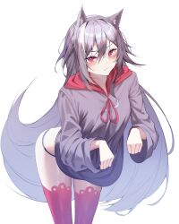  absurdres animal_ears black_panties breasts cat_ears female fu_hua fu_hua_(herrscher_of_sentience) grey_hair grey_sweater hair_between_eyes highres honkai_(series) honkai_impact_3rd jinnnnnn23 long_hair looking_at_viewer no_pants panties paw_pose red_eyes red_thighhighs small_breasts sweater thighhighs underwear very_long_hair white_background 