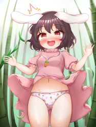  ^^^ accidental_exposure animal_ears animal_print ass_visible_through_thighs bamboo bamboo_forest black_hair blush breasts carrot_necklace carrot_print clothes_lift commentary_request cowboy_shot dress dress_lift female floppy_ears food_print forest frilled_sleeves frills highres inaba_tewi jewelry kasoka_soka leaf looking_at_viewer medium_bangs nature necklace open_mouth panties pink_dress pink_panties print_panties puffy_short_sleeves puffy_sleeves rabbit_ears rabbit_girl rabbit_print red_eyes ribbon-trimmed_dress short_hair short_sleeves small_breasts solo surprised touhou underwear wind wind_lift 