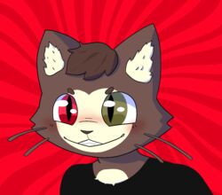  anthro black_clothing black_shirt black_topwear blush brown_body brown_fur chest_tuft clothing domestic_cat felid feline felis fur heterochromia hi_res inner_ear_fluff kralex male mammal mischievous_smile shirt solo topwear tuft undnift whiskers 