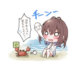  @_@ animal bare_legs barefoot beach blush breasts brown_hair chibi commentary_request crab female giving_up_the_ghost hair_between_eyes hood hood_down hooded_jacket jacket large_breasts o_o open_mouth original rectangular_mouth sand sirokuma_shake sitting solo translation_request water white_jacket 