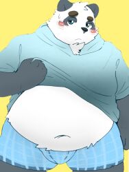  2024 anthro bear belly big_belly black_body black_nose blush clothed clothing clothing_lift giant_panda kemono male mammal menmen_kesinn navel overweight overweight_male shirt shirt_lift simple_background solo topwear underwear white_body 