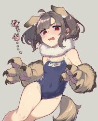  absurdres ahoge alternate_costume animal_costume animal_ear_fluff animal_ears animal_hands bare_shoulders blush breasts brown_hair covered_navel cowboy_shot dog_ears dog_girl dog_tail female fur_collar gloves highres looking_at_viewer one-piece_swimsuit open_mouth paw_gloves red_eyes school_swimsuit short_hair simple_background small_breasts solo standing swimsuit tail toriniku29 touhoku_kiritan voiceroid white_background 