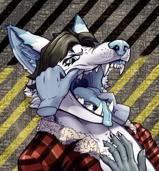  absurd_res anthro black_hair blue_body blue_eyes blue_fur blue_nose blue_tongue canid canine canis clothing digital_media_(artwork) disembodied_hand duo english_text fluffy_chest fur hair hi_res inner_ear_fluff jacket lips male mammal mouth_play mouth_shot open_mouth petting skunkhotel solo_focus teeth text tongue tongue_out topwear touching_chest touching_face tuft uvula white_body white_fur wolf 