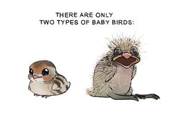  avian beak big_beak big_eyes bird chick comparison creepy english_text featherless galliform humor joke looking_at_viewer ncdraw open_mouth phasianid quail simple_background sitting stripes text unknown_species 