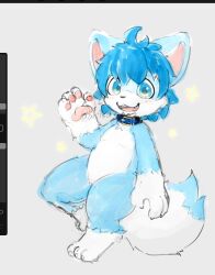  3_toes 4_fingers ak9sa akakusa anthro blue_body blue_eyes blue_fur blue_hair blush canid canine cape clothing collar digital_media_(artwork) fangs feet fingers fox fur gesture hair hi_res kemono male mammal mikey_(mikey_fox) open_mouth procreate_(artwork) procreate_(copyright) smile solo teeth toes unfinished unfinished_version waving 