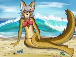  4:3 anthro arthropod azee_(links) beach brown_body brown_fur canid canine canis colored coyote crab crustacean decapoda farfener female fur hair hi_res links malacostracan mammal marine sea shiyan_(links) slave the_auroran_archives water wave white_hair wolf 