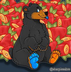  bear bear_paws black_bear blue_tongue feral fish hi_res male mammal marine paws salmon salmonid_(fish) solo tongue tongue_out ursine yamato_burr yamatopawa 