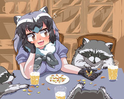  2022 4_ears 5:4 animal_humanoid arai-san beverage biped black_nose chair clothed clothing detailed_background female feral food furniture grey_body group humanoid humanoid_hands inside kemono_friends mammal mammal_humanoid multi_ear paws procyonid procyonid_humanoid raccoon_humanoid sitting umikazenet3 