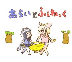  2girls animal_ears baobab basket black_hair black_skirt blonde_hair blush bow bowtie commentary_request common_raccoon_(kemono_friends) fennec_(kemono_friends) flower fox_ears fox_tail fur_collar grey_hair guri_to_gura holding holding_basket holding_flower kemono_friends looking_at_another miniskirt multicolored_hair multiple_girls nekoyama parody pleated_skirt raccoon_ears short_hair skirt smile tail thighhighs title_parody translated tree walking white_background white_hair white_skirt zettai_ryouiki 