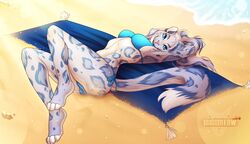  4_toes anthro beach beach_blanket bikini bikini_bottom bikini_top blue_body blue_clothing blue_eyes blue_hair blue_spots breasts catherinemeow chest_tuft clothed clothing feet felid feline female fur grey_body grey_fur hair hi_res khajiit leopard long_hair looking_at_viewer lying m&#039;ria_(maks_hunt) mammal markings microsoft on_back pantherine sand seaside simple_background smile snow_leopard solo spots spotted_body spotted_fur swimwear tail the_elder_scrolls toes tuft white_body white_fur 