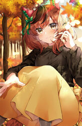  animal_ears autumn_leaves black_legwear black_shirt brown_eyes closed_mouth commentary female hair_between_eyes highres horse_ears horse_girl horse_tail leaf light_smile long_sleeves maple_leaf maple_tree medium_hair multicolored_hair nice_nature_(umamusume) red_hair shirt skirt solo streaked_hair tail tree twintails umamusume yam_(yamap_mako) yellow_eyes yellow_skirt 