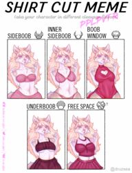  blonde_hair blue_eyes bottomwear bra brown_body brown_fur button_(fastener) clothed clothing crop_top english_text female frilly frilly_bra frilly_clothing frilly_panties frilly_underwear fur hair hi_res mammal meadow meme midriff panties pink_bra pink_clothing pink_panties pink_underwear pplpvtr procyonid raccoon shirt shirt_cut_meme skirt solo text topwear underwear underwear_only white_body white_fur 