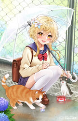  animal artist_name backpack bag bangs blonde_hair blush bow brown_bag brown_footwear can canned_food chain-link_fence collarbone eyebrows_visible_through_hair feline female fence flower fukuro_ko_(greentea) full_body genshin_impact grey_cat hair_flower hair_ornament highres holding holding_umbrella long_sleeves looking_at_viewer lumine open_mouth orange_cat outdoors pleated_skirt purple_skirt rain red_bow school_uniform shoes short_hair signature skirt smile squatting thighhighs transparent transparent_umbrella umbrella uniform white_legwear yellow_eyes 