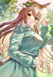  :o animal_ears blush braid braided_ponytail brown_hair collar dress ear_ornament female forest frilled_collar frilled_sleeves frills green_dress green_ribbons hair_ornament half_updo highres horse_ears horse_girl horse_tail leaf long_hair long_sleeves looking_at_viewer nature open_mouth outdoors ribbon satono_diamond_(umamusume) solo sunlight tail umamusume water_drop yam_(yamap_mako) yellow_eyes 