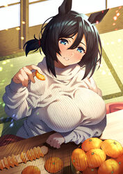  absurdres alternate_hairstyle animal_ears architecture bad_id bad_pixiv_id black_hair blue_eyes blush breasts commentary east_asian_architecture eishin_flash_(umamusume) female fingernails food fruit hair_between_eyes highres horse_ears horse_girl indoors kotatsu large_breasts long_sleeves looking_at_viewer mandarin_orange messy_hair neokinayo parted_lips ribbed_sweater short_hair short_ponytail smile solo sweater swept_bangs table taut_clothes taut_sweater turtleneck turtleneck_sweater umamusume white_sweater 