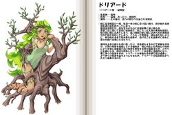  blue_eyes character_profile dryad dryad_(mamono_girl_lover) green_hair kenkou_cross kenkou_kurosu long_hair mamono_girl_lover monster_girl monster_girl_encyclopedia monster_girl_profile plant pointy_ears tree 